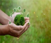 ʮҎ(gu)a(chn)I(y)(bo)桿xʮ壺²Ϯa(chn)I(y)ǰͻca(chn)I(y)x춨δa(chn)I(y)ʯ